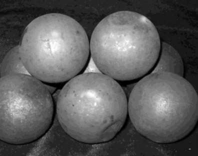 ��δ_�����t��M��ʹ��Ҫ��